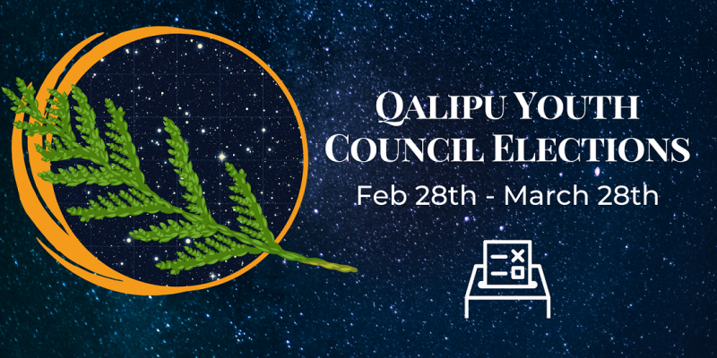 Qalipu Mi'kmaq youth network FB banners (2)