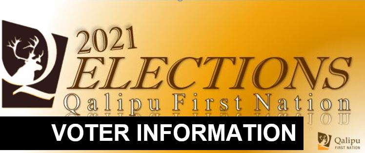 election voter info banner