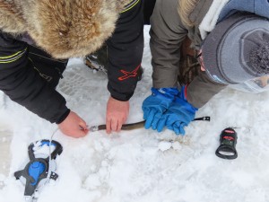 Measuring the eels