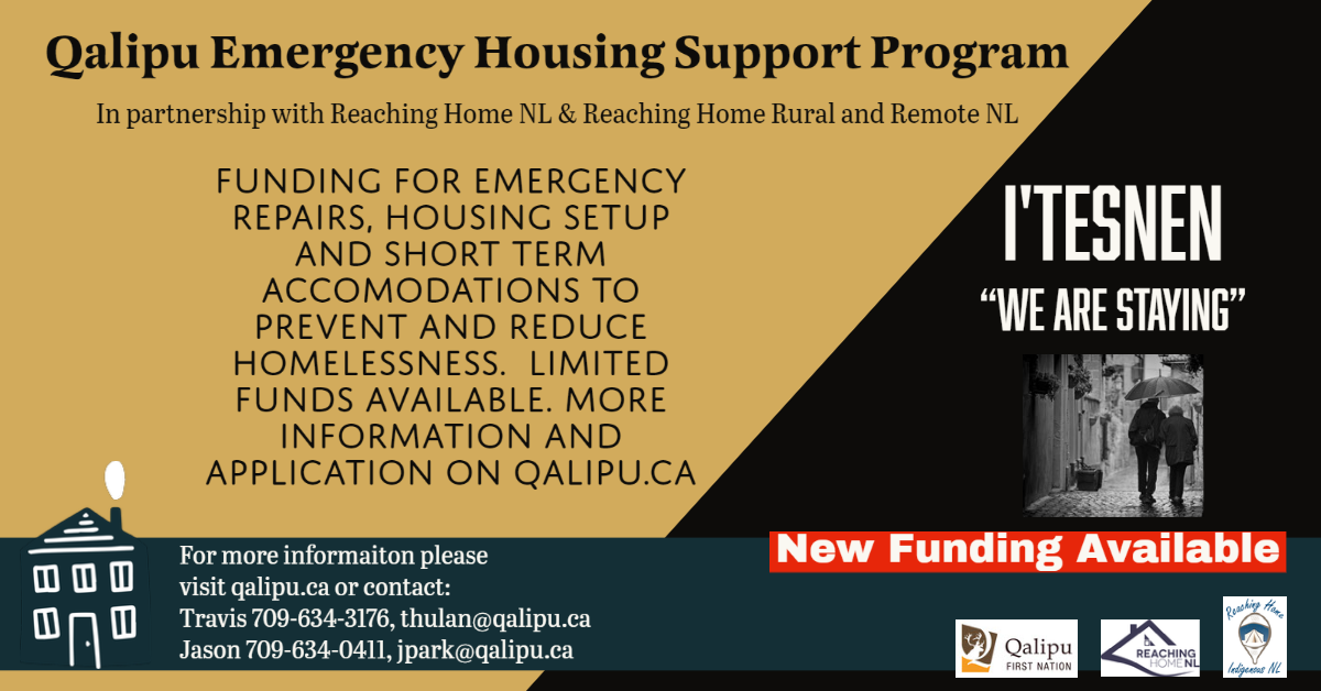 web graphic emergency housing-1 (1)