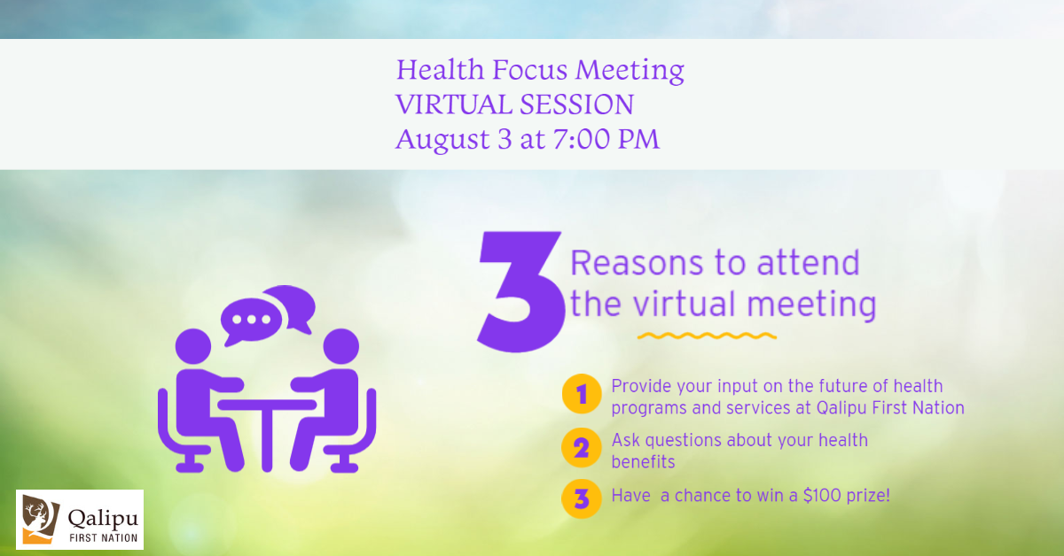 virtual health focus meeting-1