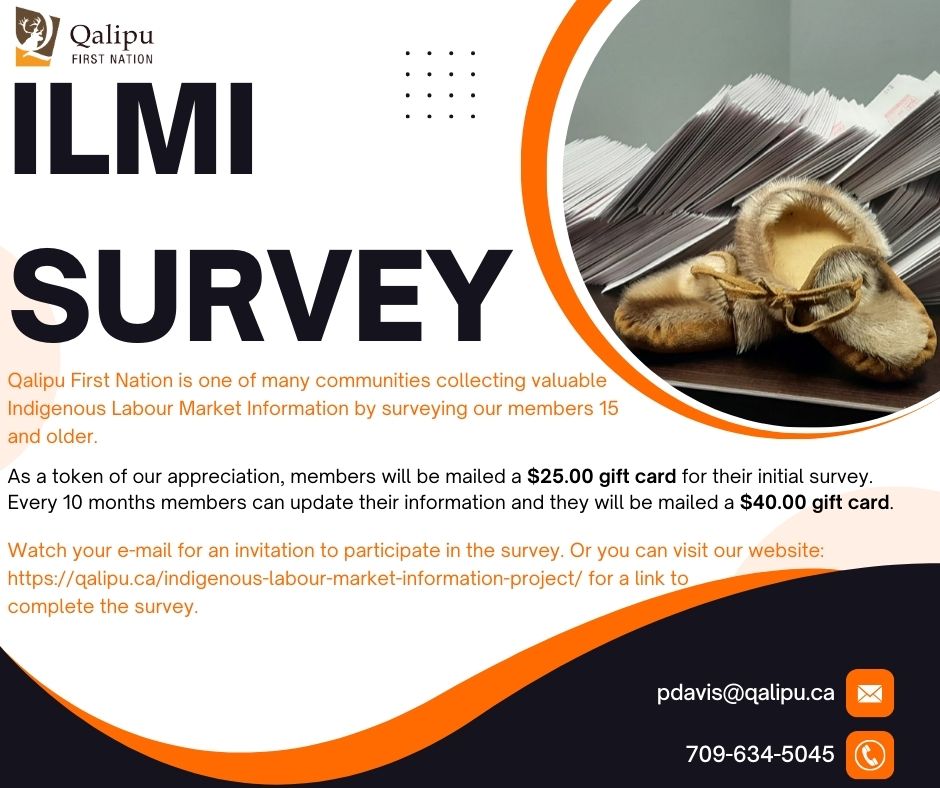 ILMI Survey