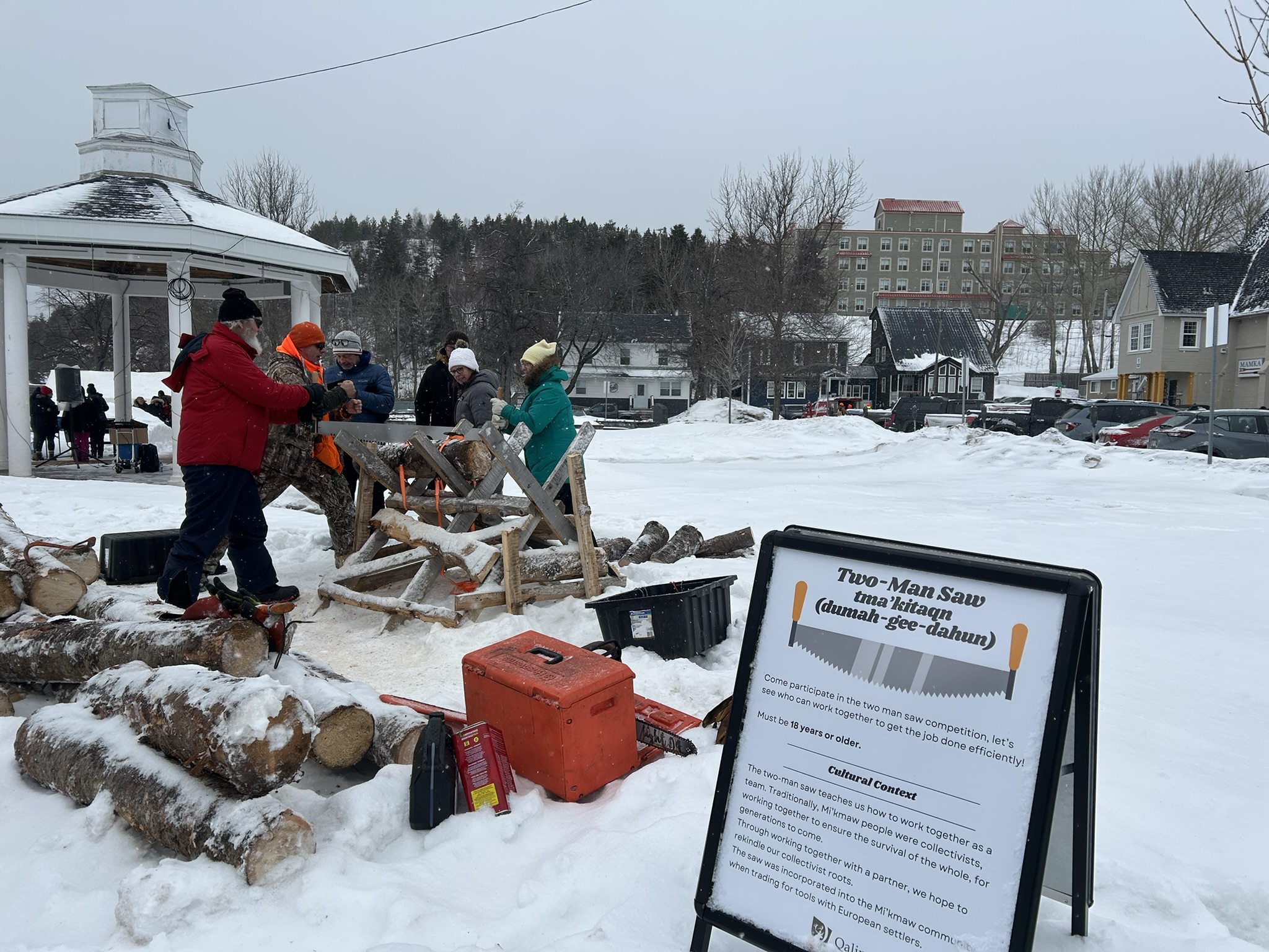 Two-man log sawing 