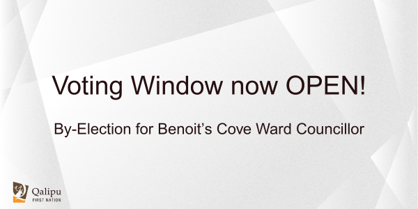VotingWindownowOPEN