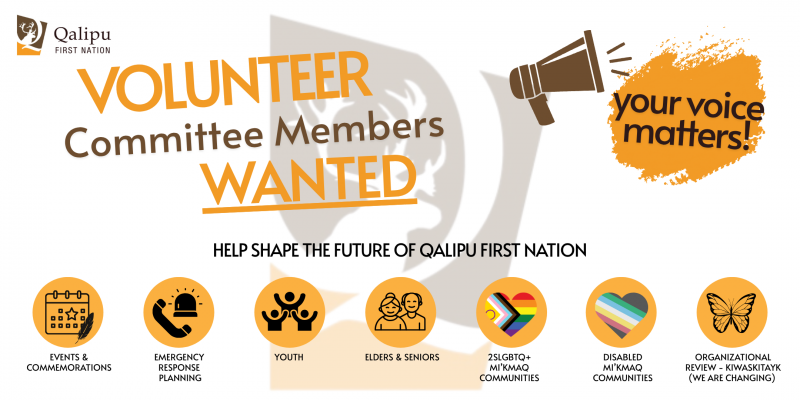 Volunteer Committee Members Wanted
