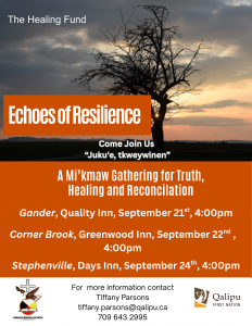 1 Echoes of Resilience Poster